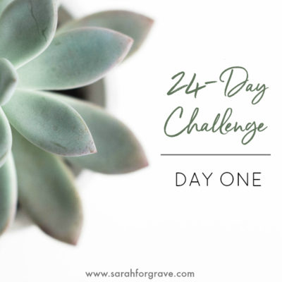 24-Day Challenge: Day One