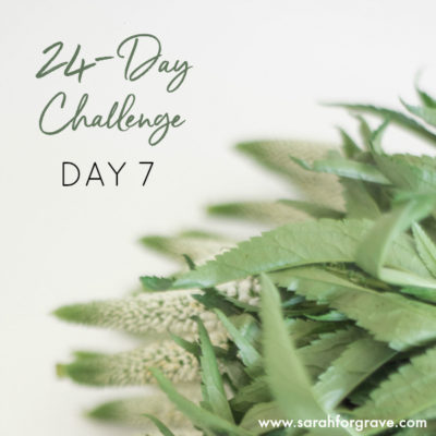 24-Day Challenge: Day 7