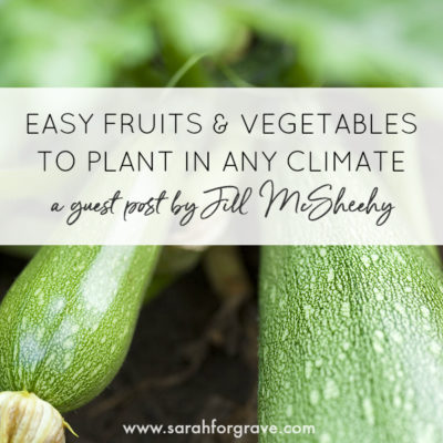 Gardening 101: Easy Fruits & Vegetables for Beginners to Plant in Any Climate