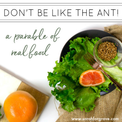 Don’t Be Like the Ant! {a parable of real food}